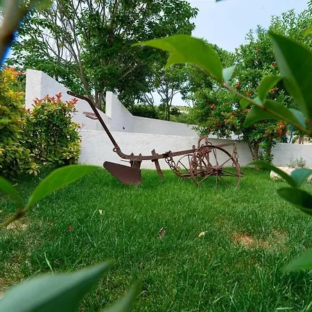 Didovi Snovi Li Ane