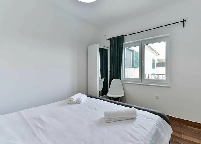 Didovi Snovi Li Ane * Lišane Ostrovičke