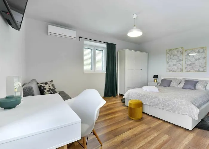 Didovi Snovi Li Ane Lišane Ostrovičke