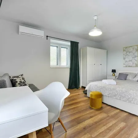 Didovi Snovi Li Ane Lišane Ostrovičke