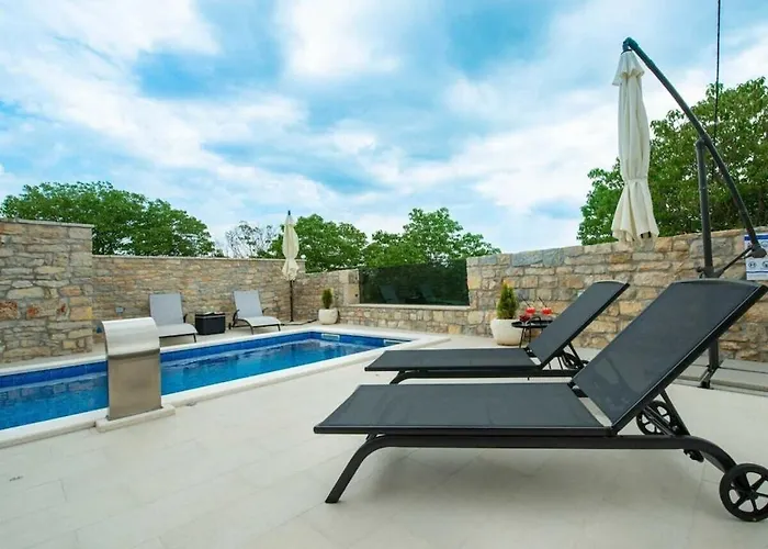 Didovi Snovi Li Ane Vila *