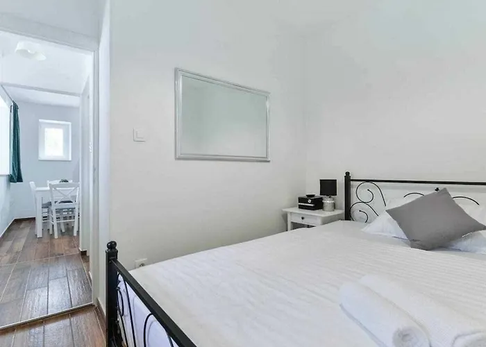 Didovi Snovi Li Ane * Lisane Ostrovicke