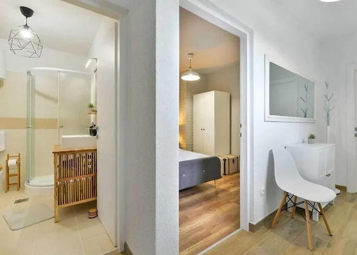 Didovi Snovi Li Ane Lisane Ostrovicke